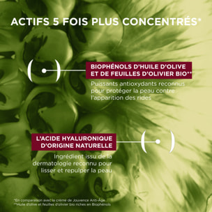 La Provençale Biophénol-Lift - Crème Correctrice Booster Fermeté Anti-Rides & Fermeté - Olive violette - Biophénols & Acide hyal