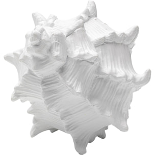 Déco coquillage blanc 19cm Kare Design