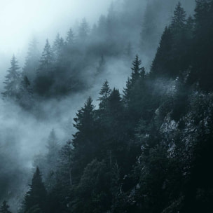 Affiche paysage suisse au petit matin Affiche + cadre en bois - Noir