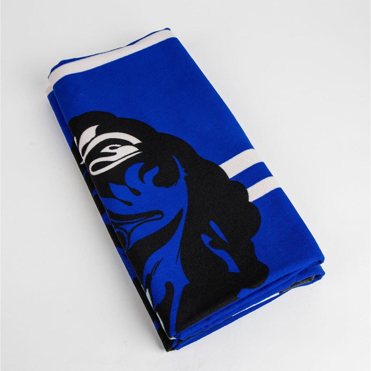 Toalla Microfibra de Harry Potter (Ravenclaw) - 70x140x1 cm - Multicolor