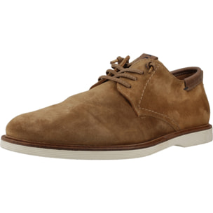 DERBIES - OXFORD CETTI C1351