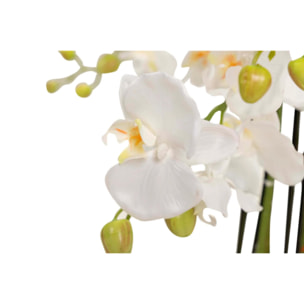 Orquidea Poliester Blanca Con Maceta 60x60x115 Cm