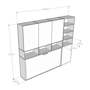 Armoire lit escamotable horizontal 1 couchage 85 Kando composition E Frêne Blanc