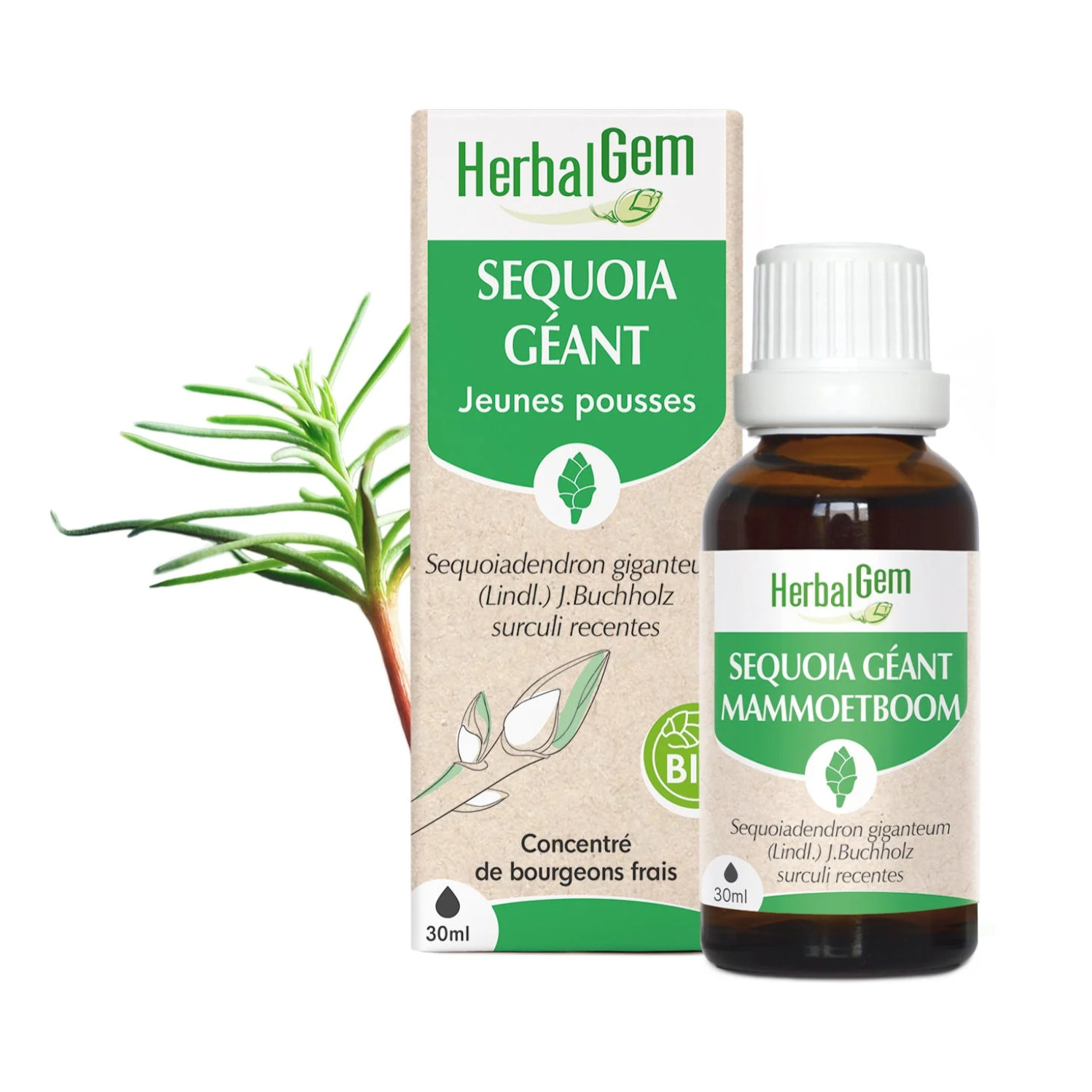 Herbalgem- Bourgeon de Séquoia géant - Bio - 30 ml