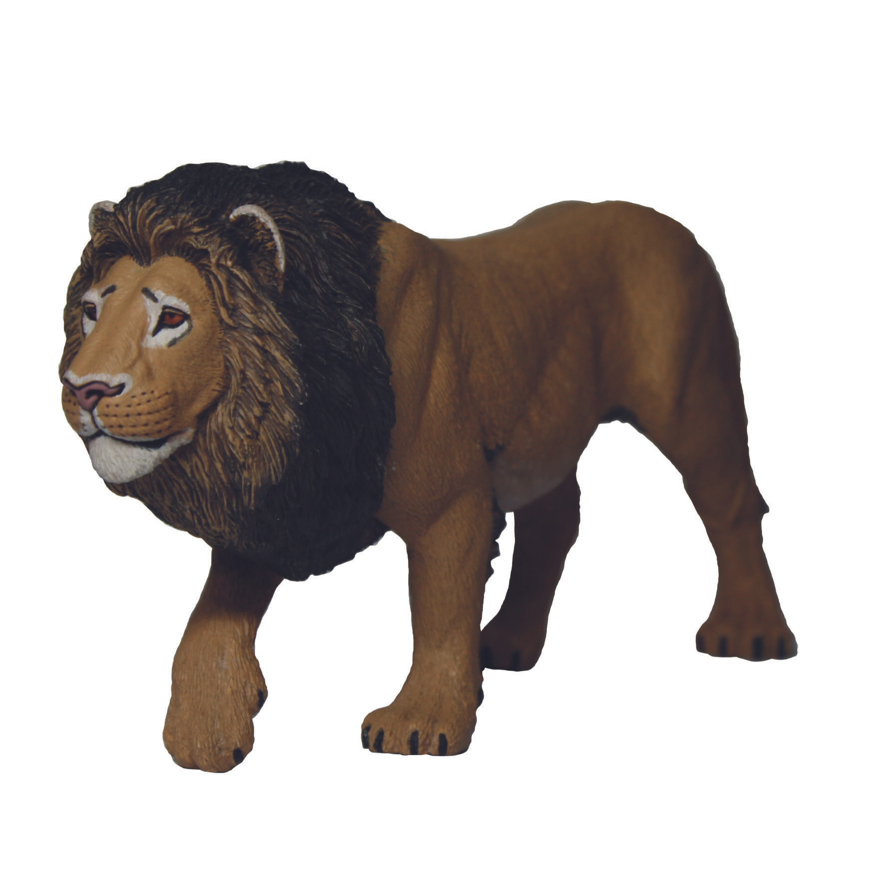 Safari/Leone