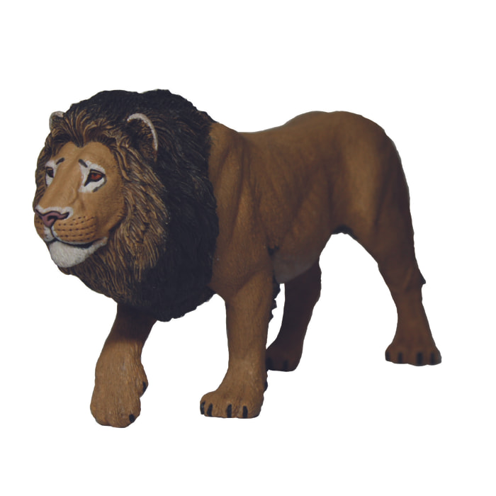 Safari/Leone