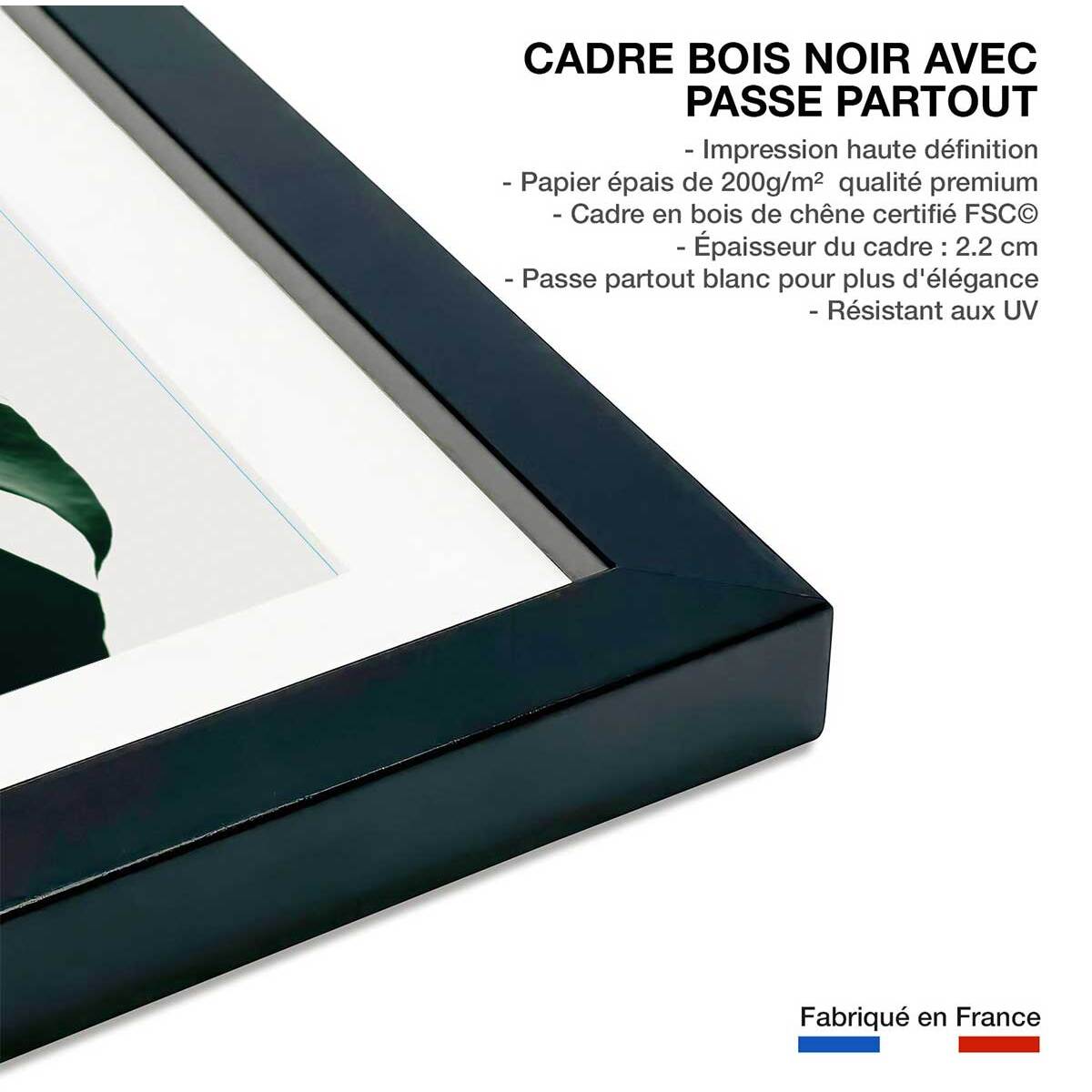 Affiche  monstera due Affiche sous cadre noir