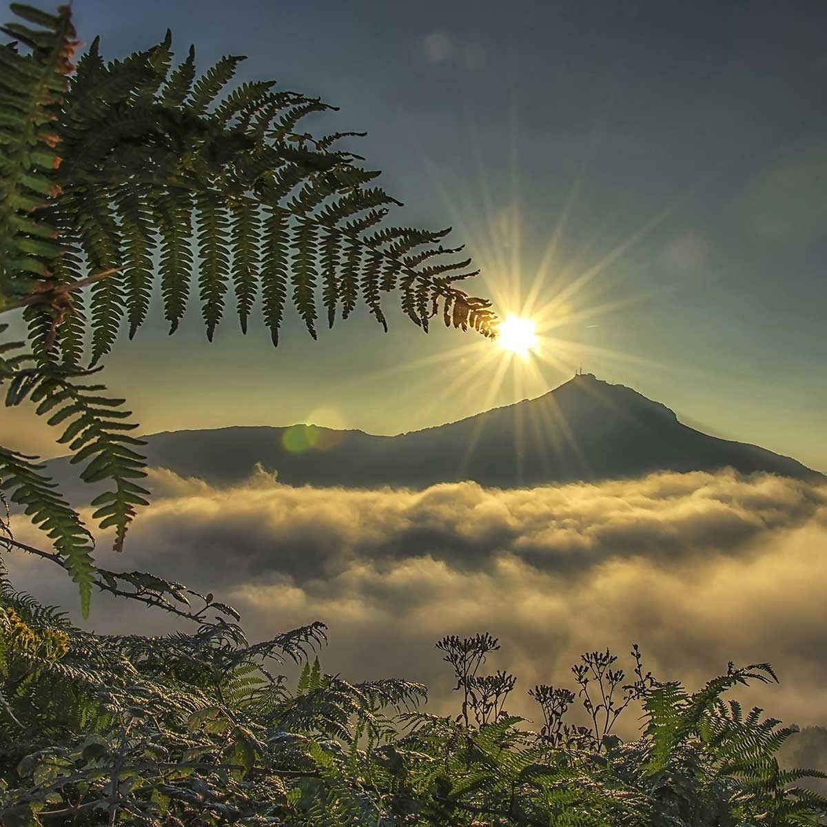 Tableau soleil sur la rhune Tableau alu Dibond