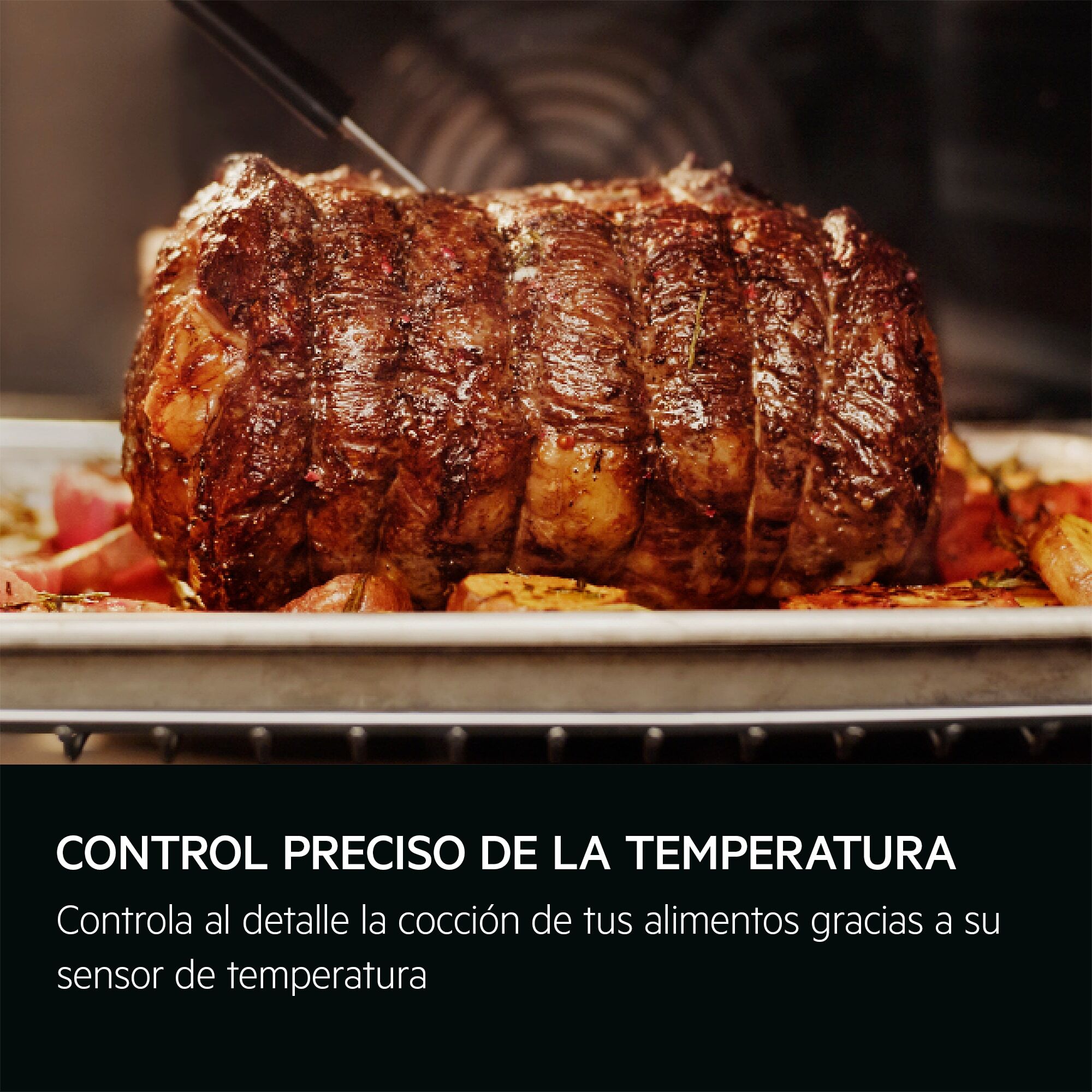 AEG Horno de vapor Serie 6000 SenseCook con SteamCrisp con Display LED Explore V7PBR521SB