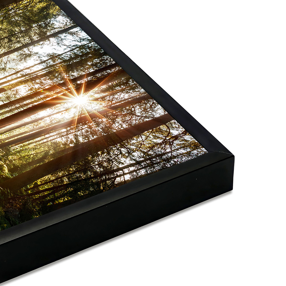 Affiche encadrée – Chemin forestier ensoleillé Affiche + cadre en métal - Noir