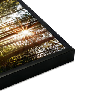 Affiche encadrée – Chemin forestier ensoleillé Affiche + cadre en métal - Noir