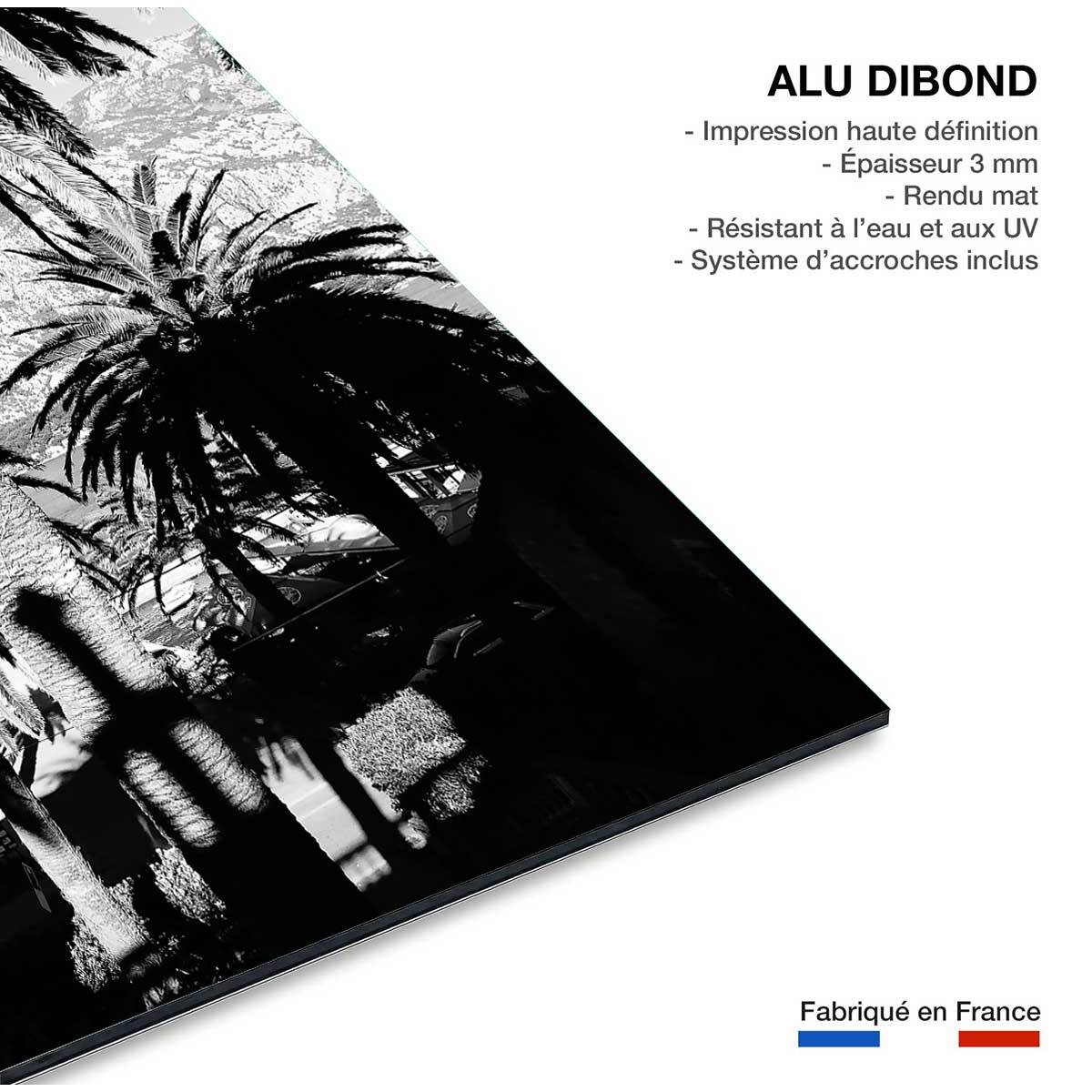 Tableau noir et blanc palmiers monténégro Tableau alu Dibond