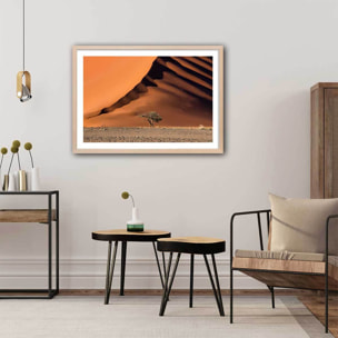 Affiche L'arbre sur la dune, Namibie Affiche + cadre en bois - Chêne