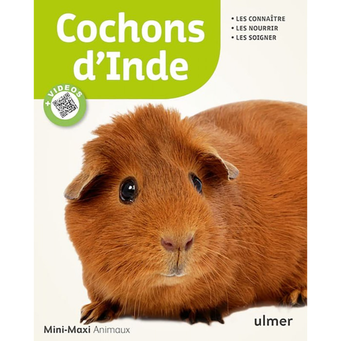Gassner, Georg | Cochons d'Inde | Livre d'occasion