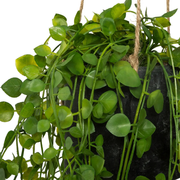 Plante artificielle à suspendre "Living" pot ciment D10cm