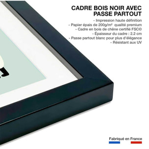 Affiche  alpaga music Affiche sous cadre noir