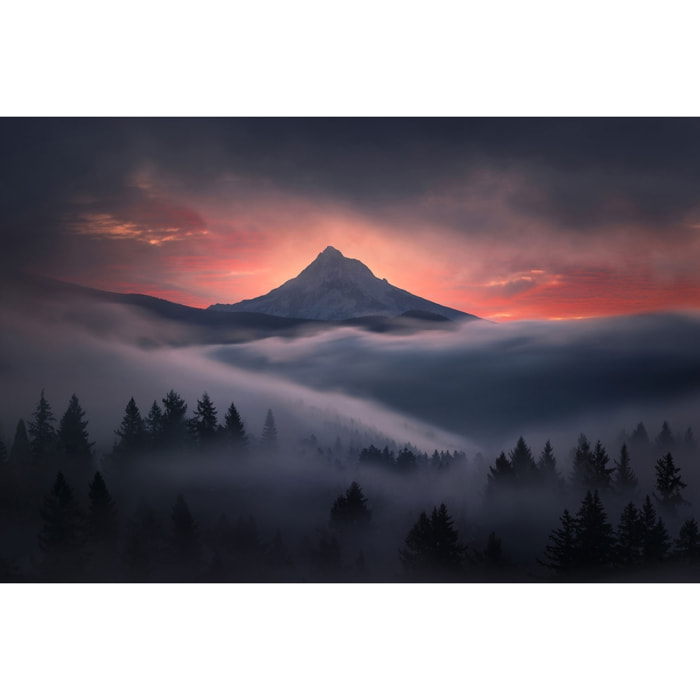 Tableau Brume en Oregon Tableau alu Dibond