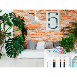 Ventilador de techo Modo Invierno/Verano Termostato Wifi Motor DC Techos Inclinados Mando a Distancia Hypersilence Memoria Vendible Shopify (AUTOMATICO) LimaD106C0364878 PURLINE