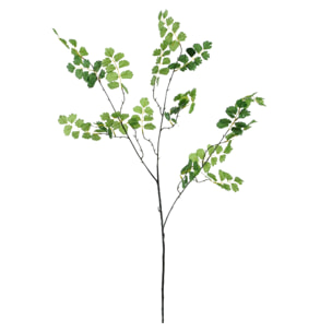 Ramo Di Capelvenere. Altezza 83 Cm - Pezzi 6 - 25X83X10cm - Colore: Verde - Bianchi Dino - Piante Artificiali