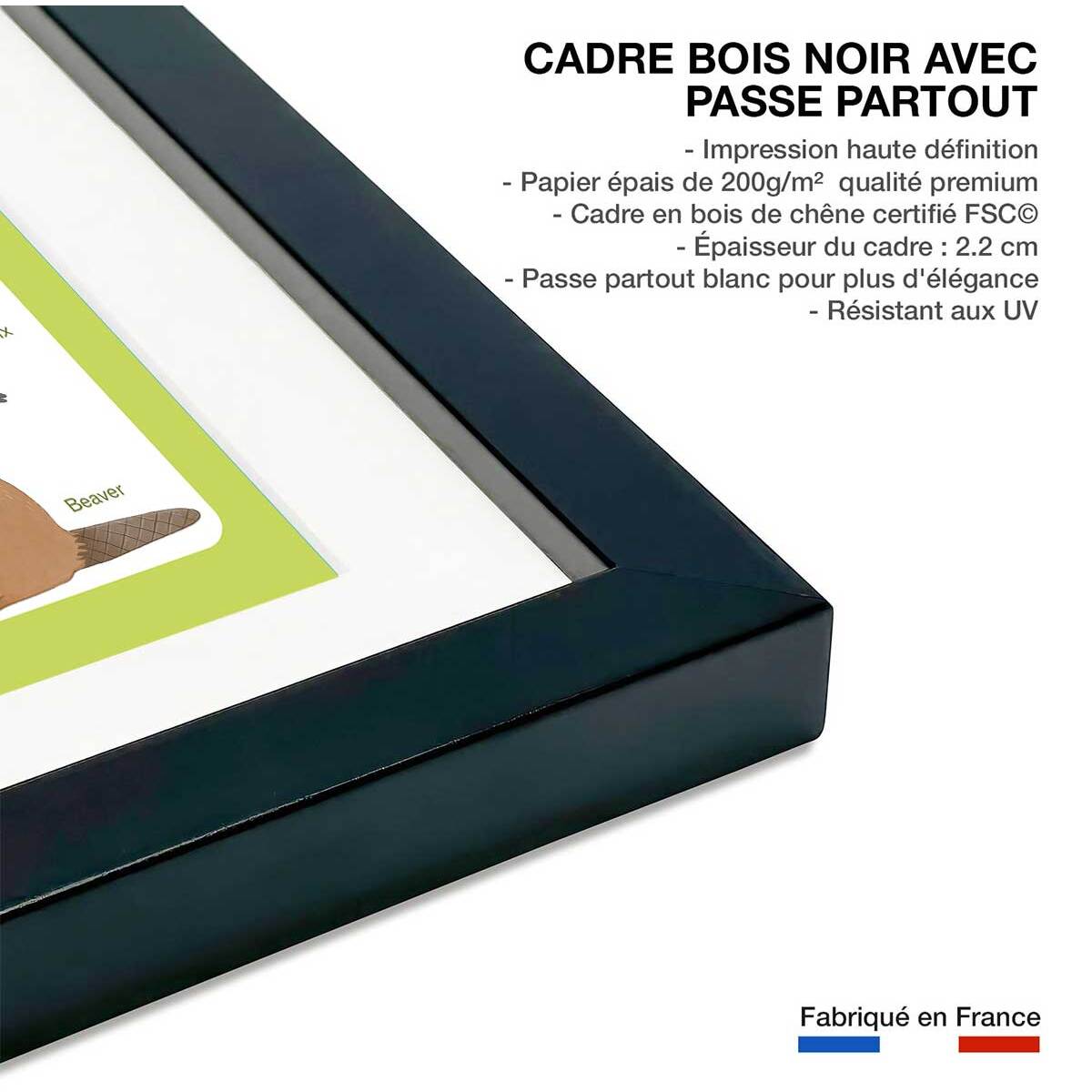 Affiche enfant animaux d'europe  Affiche sous cadre noir