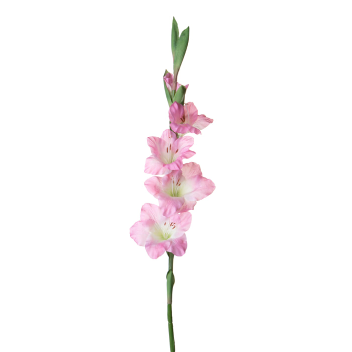 Fiore Di Gladiolo. Altezza 85 Cm - Pezzi 6 - 15X85X8cm - Colore: Rosa - Bianchi Dino - Fiori Artificiali