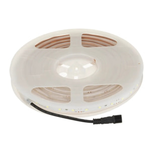Ruban LED outdoor blanc L500cm