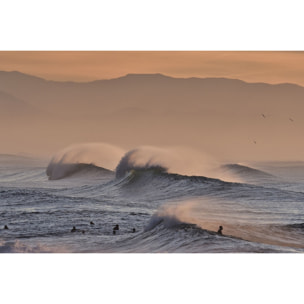 Tableau plage hossegor mouettes au pic Tableau plexiglas