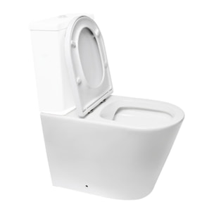 Project cuvette WC à poser sans bride en céramique (réservoir non fourni), blanc (SATPRO31M)