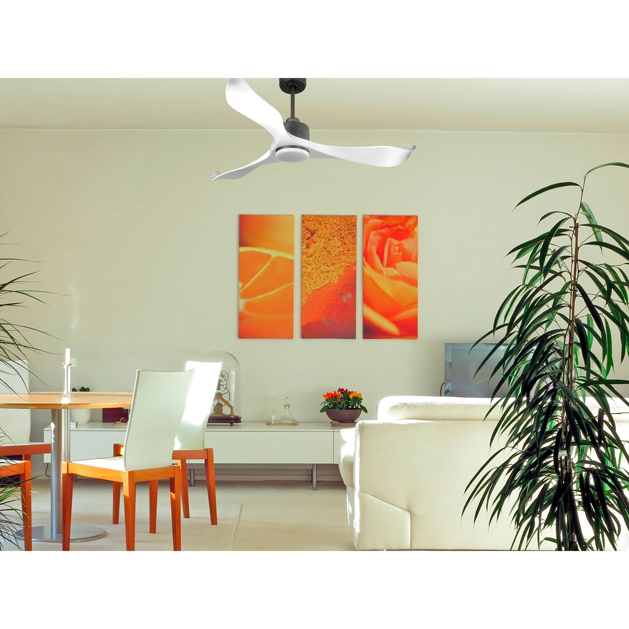 Ventilador de techo Reversible Termostato Dimable Wifi Motor DC Techos Inclinados Mando a Distancia Luz tres tonos Adaptador 2/3 Aspas Hypersilence Memoria VirginD132C03LED65248 PURLINE