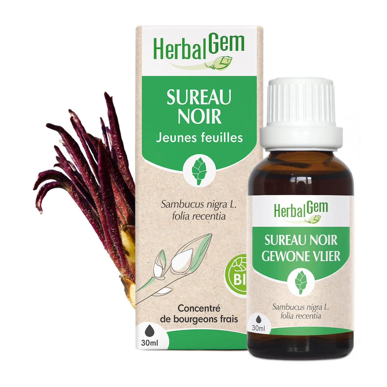 Herbalgem- Bourgeon de Sureau noir - Bio - 30 ml