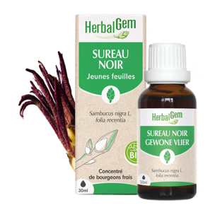 Herbalgem- Bourgeon de Sureau noir - Bio - 30 ml