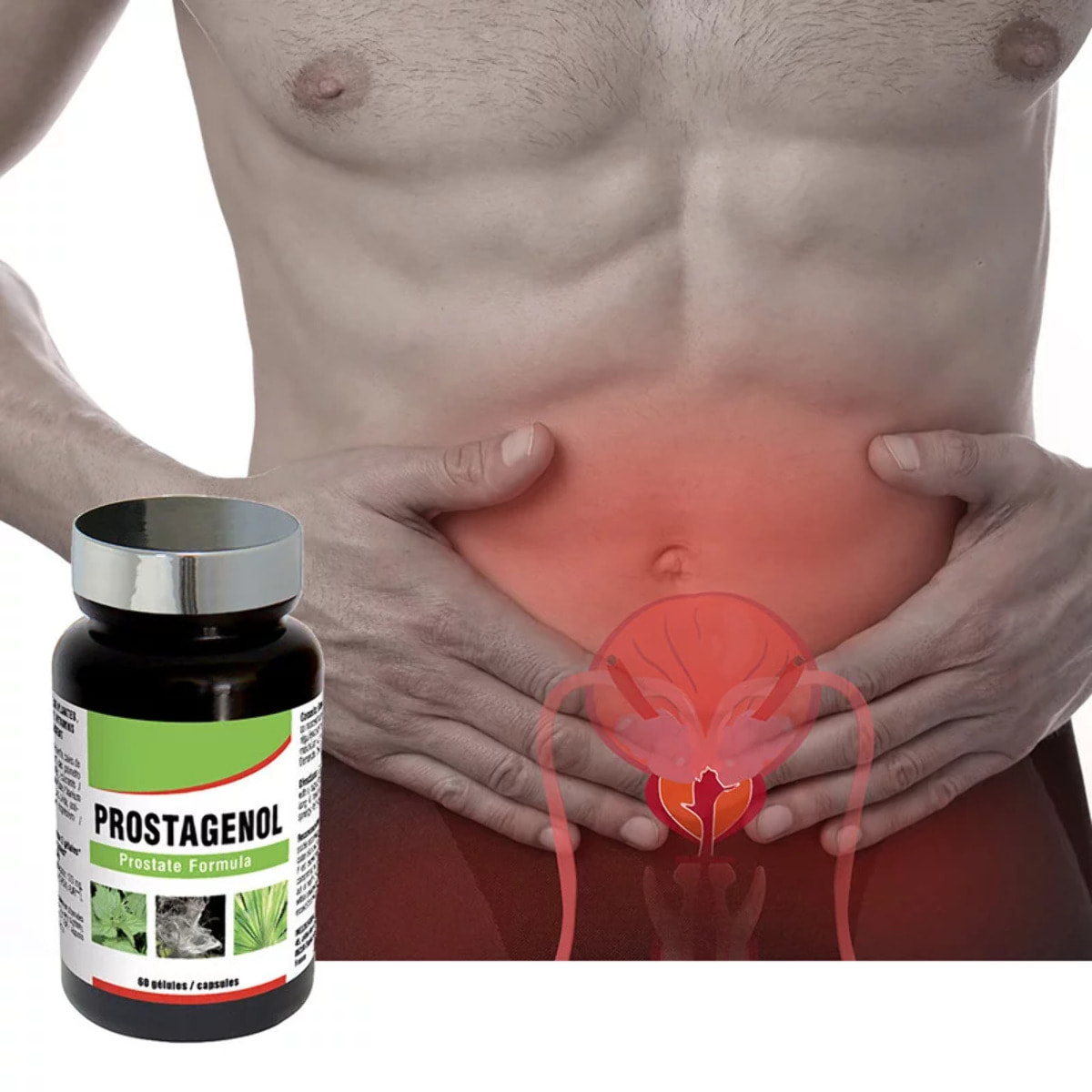 NUTRI EXPERT - Prostagenol - Confort urinaire et maintien du fonctionnement de la prostate - 60 gélules végétales - Lot de 2 produits
