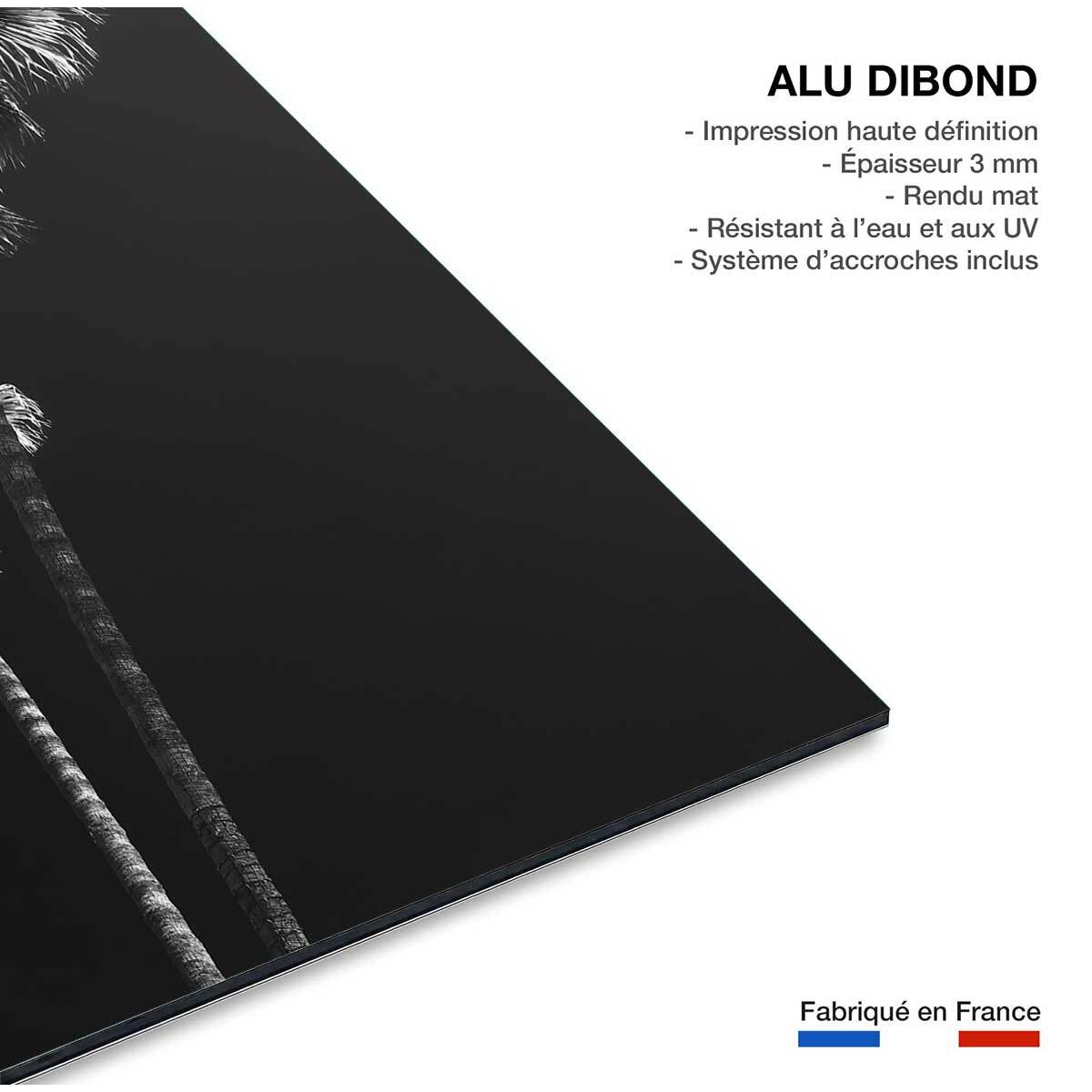 Tableau noir et blanc Ambiance Californie Tableau alu Dibond