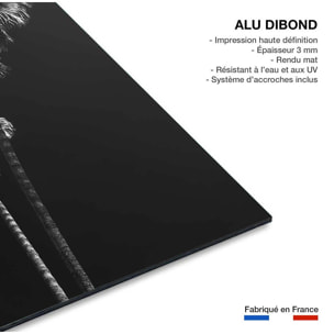Tableau noir et blanc Ambiance Californie Tableau alu Dibond