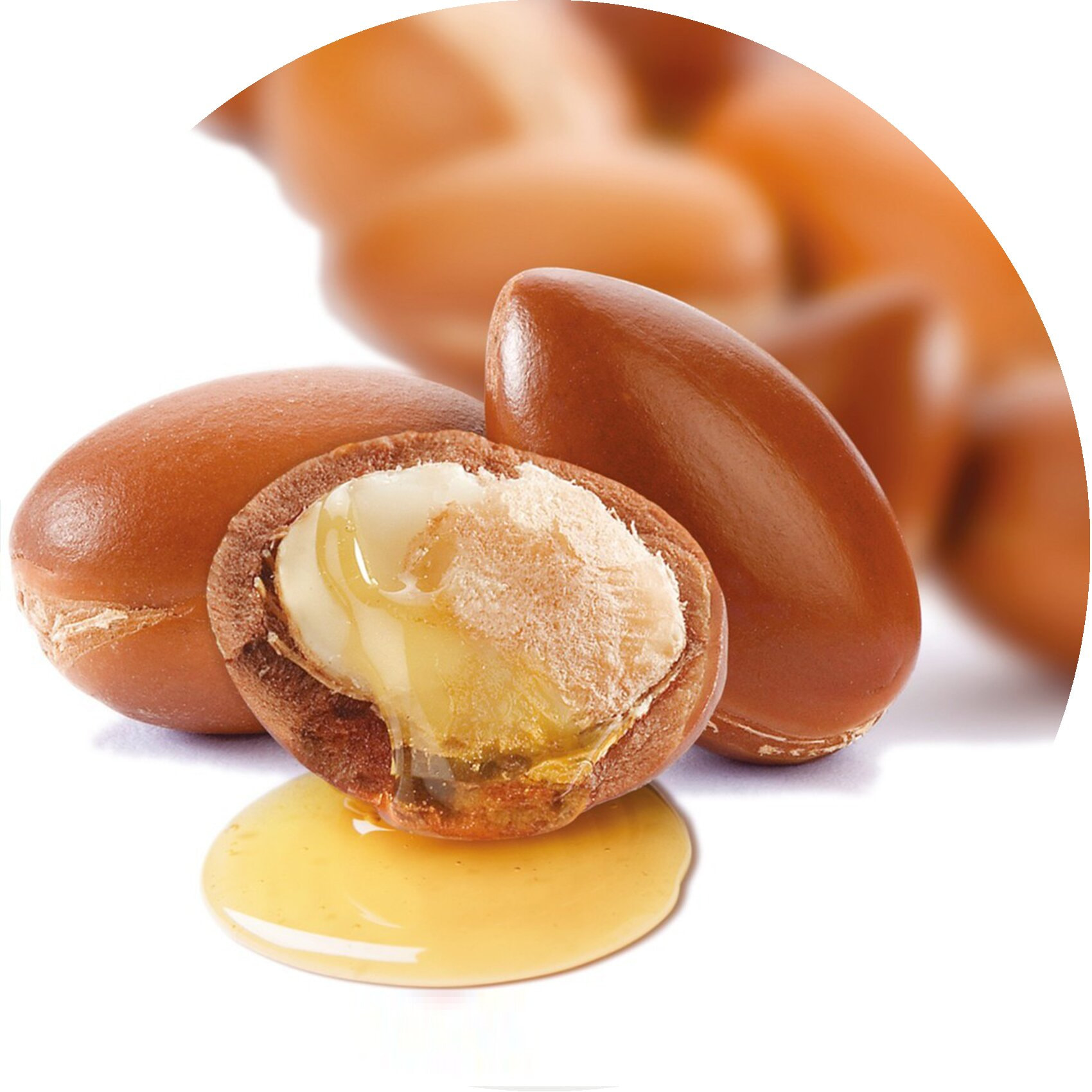 Shampooing argan sublime 225 ml.