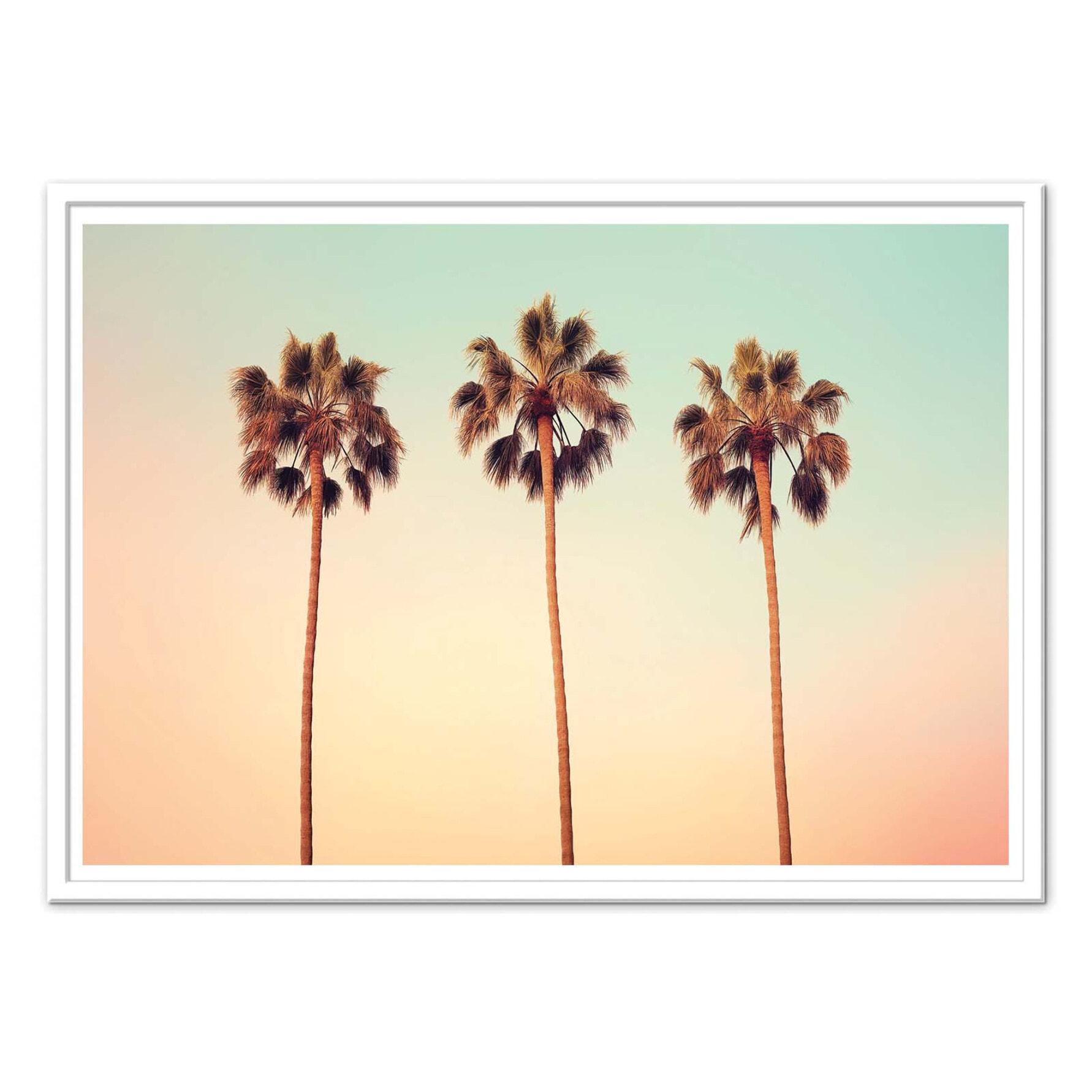 Affiche - California Hollywood Palms - Philippe Hugonnard