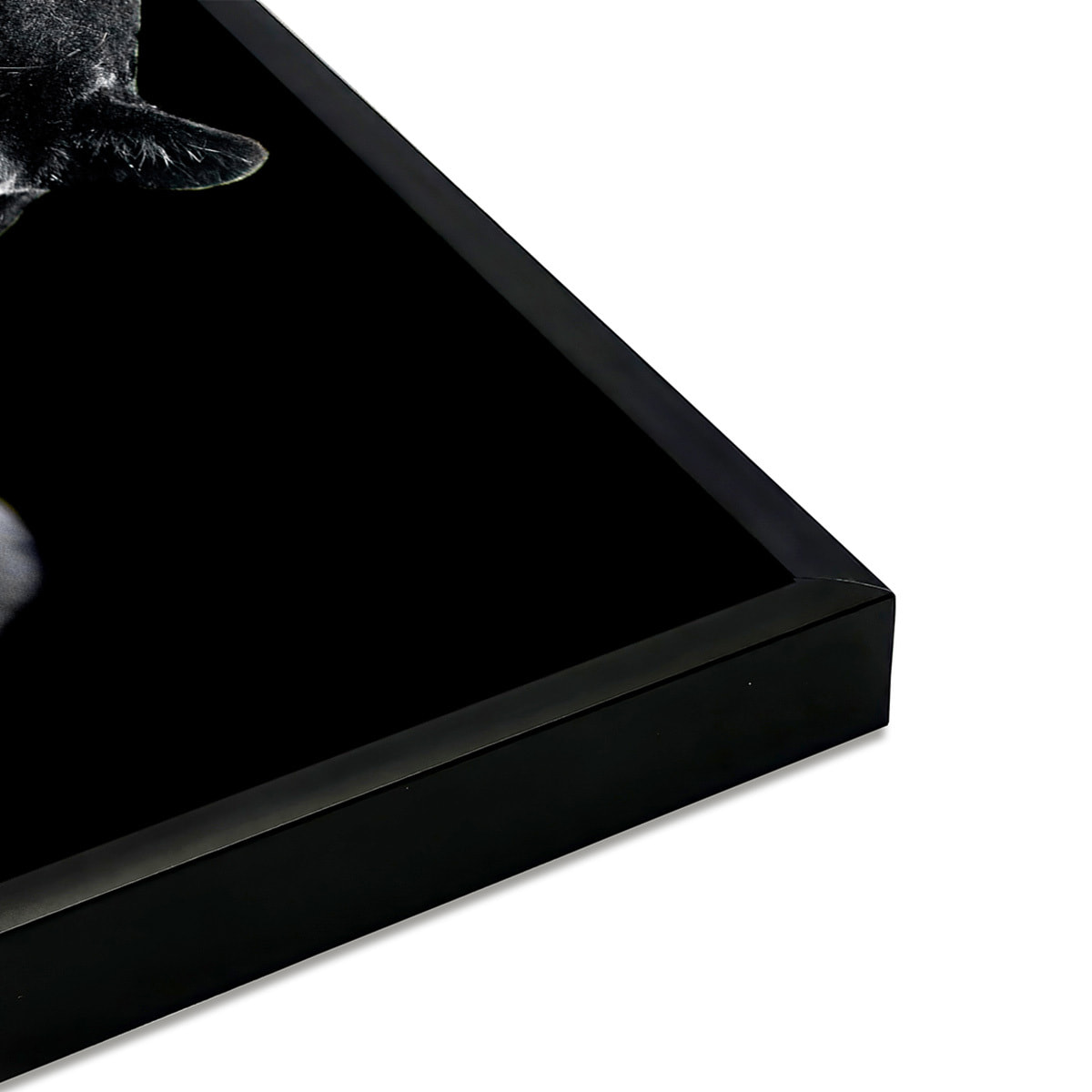 Affiche encadrée panthère noire Affiche + cadre en métal - Noir