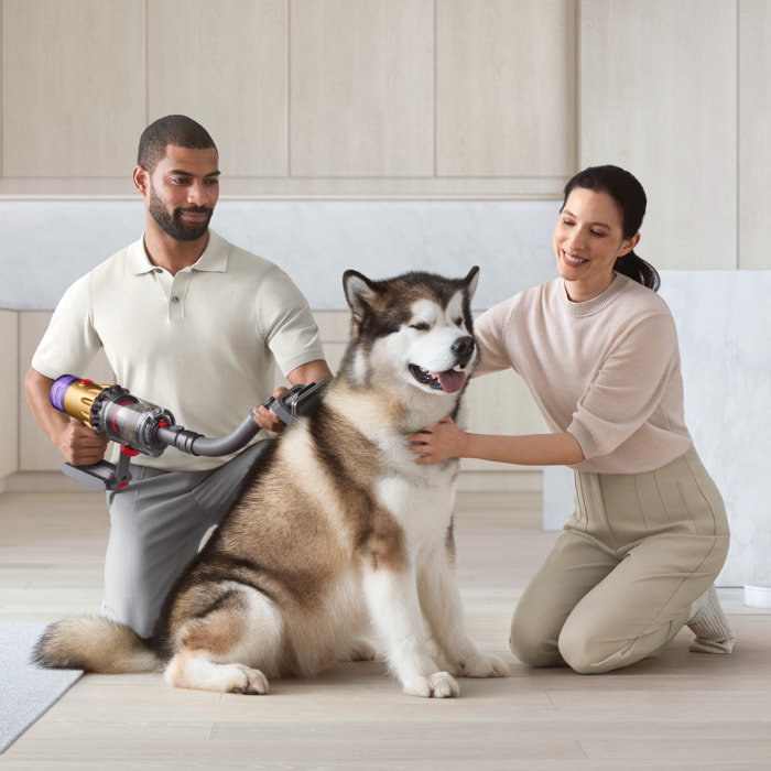 Dyson Accessori | Kit per la cura degli animali