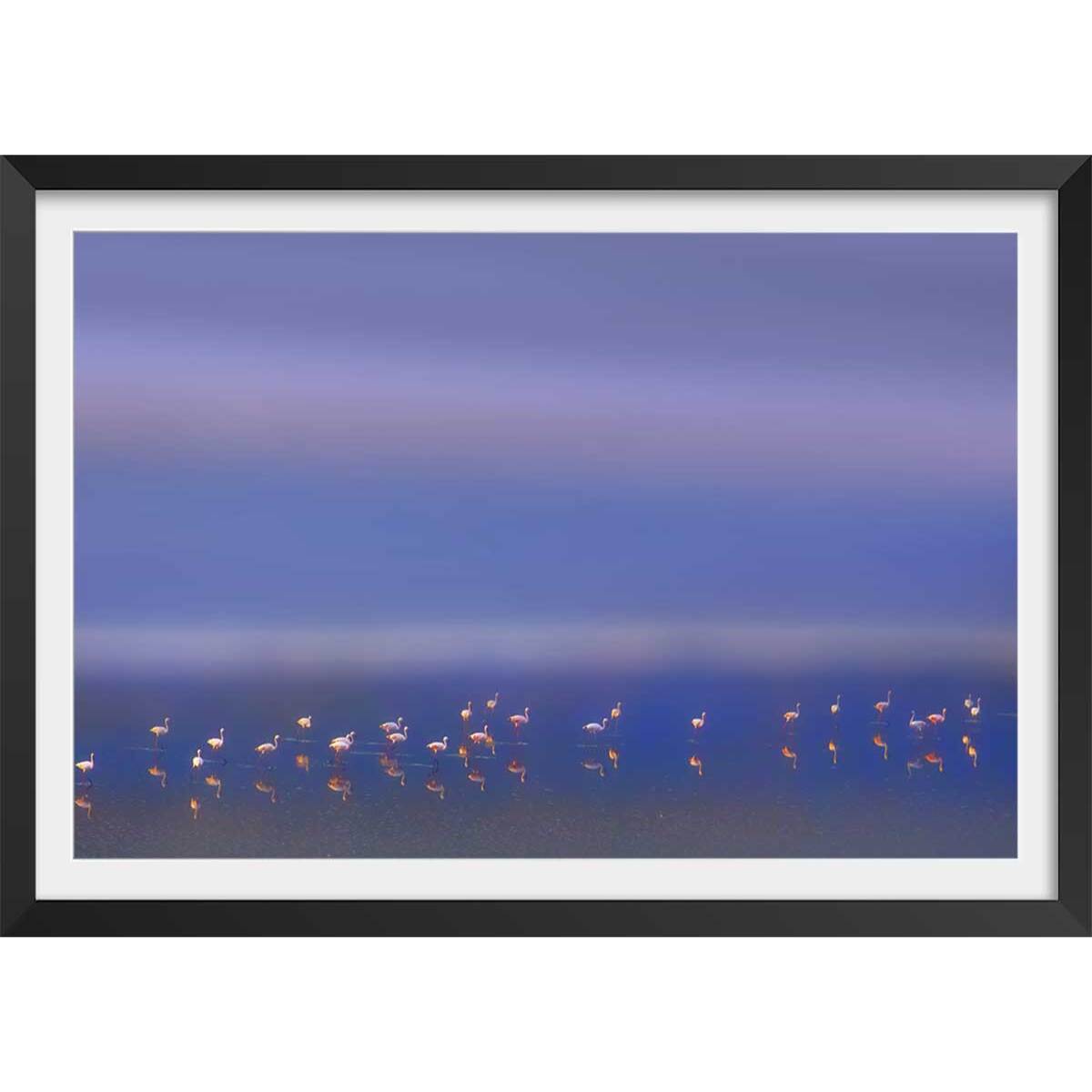 Affiche Flamants Tôt le matin Affiche + cadre en bois - Noir