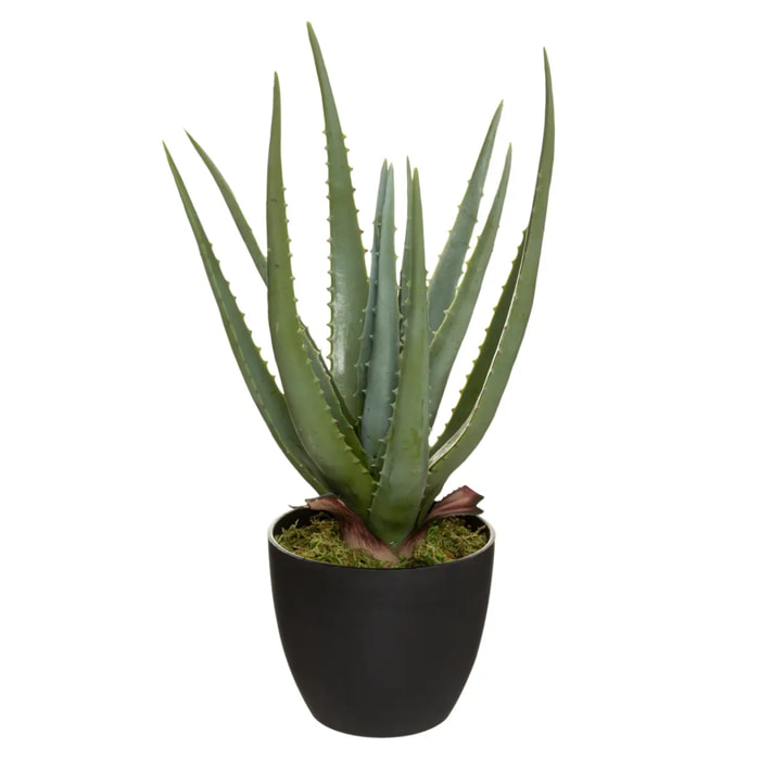 Aloe vera artificiel H44 cm