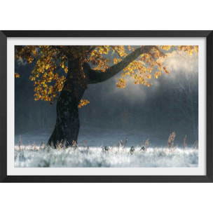 Affiche paysage Souffle d'hiver Affiche + cadre en bois - Noir