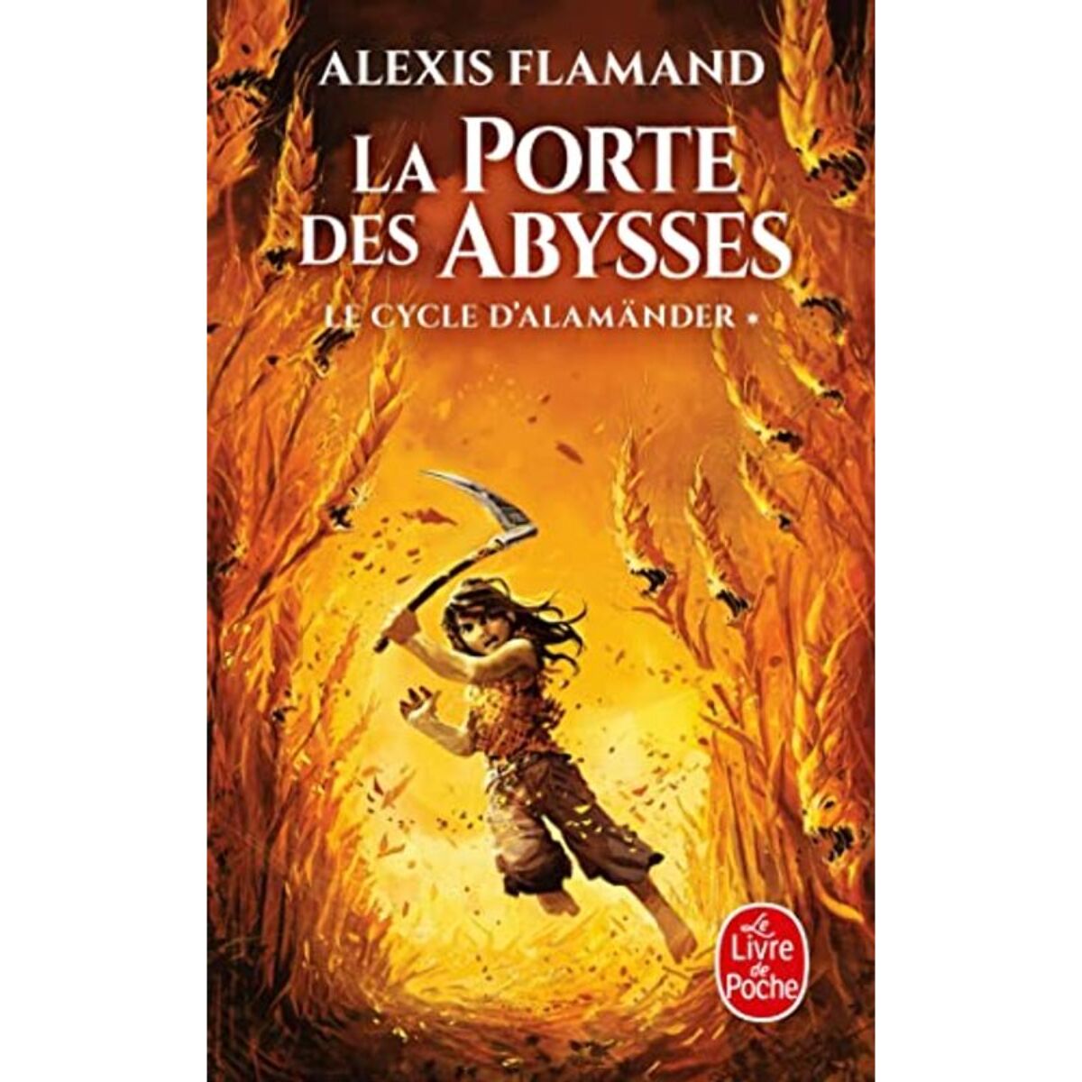 Flamand, Alexis | La Porte des abysses (Le Cycle d'Alamänder, Tome 1) | Livre d'occasion