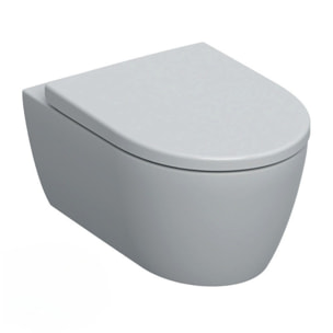 Pack WC Bati-support Geberit Duofix extra-plat + WC sans bride Geberit iCon + Abattant softclose + Plaque blanche (SLIM-iCon-C)