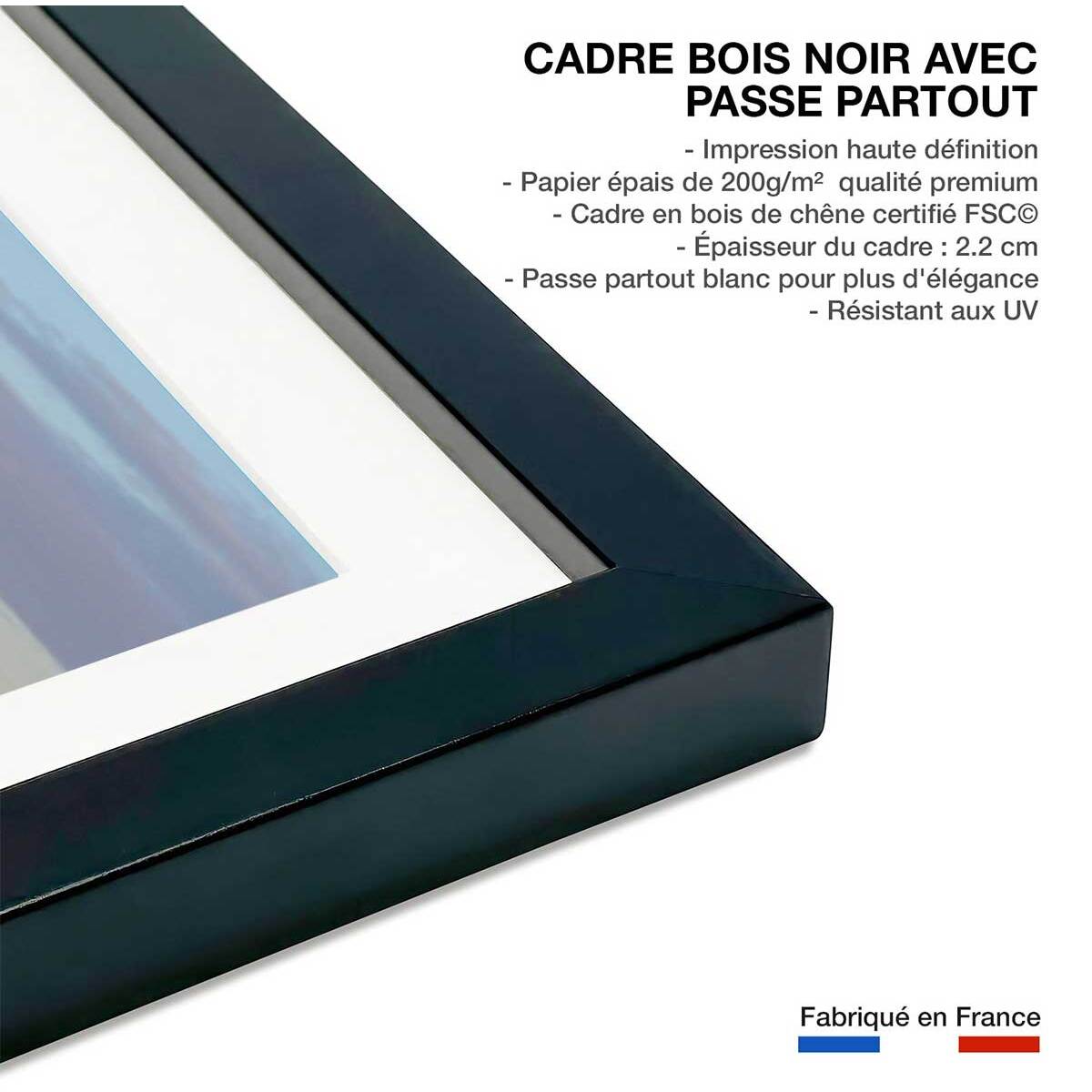 Affiche Lionnes... Affiche sous cadre noir