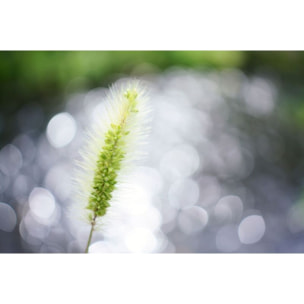 Objectif pour Hybride TAMRON 24mm F2.8 DI III OSD Sony FE