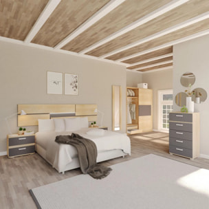 Dormitorio Ataneq Pure 5C Plus Cambria - Grafito