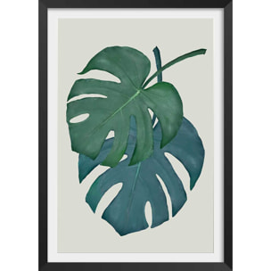 Affiche Monstera turquoise Affiche + cadre en bois - Noir