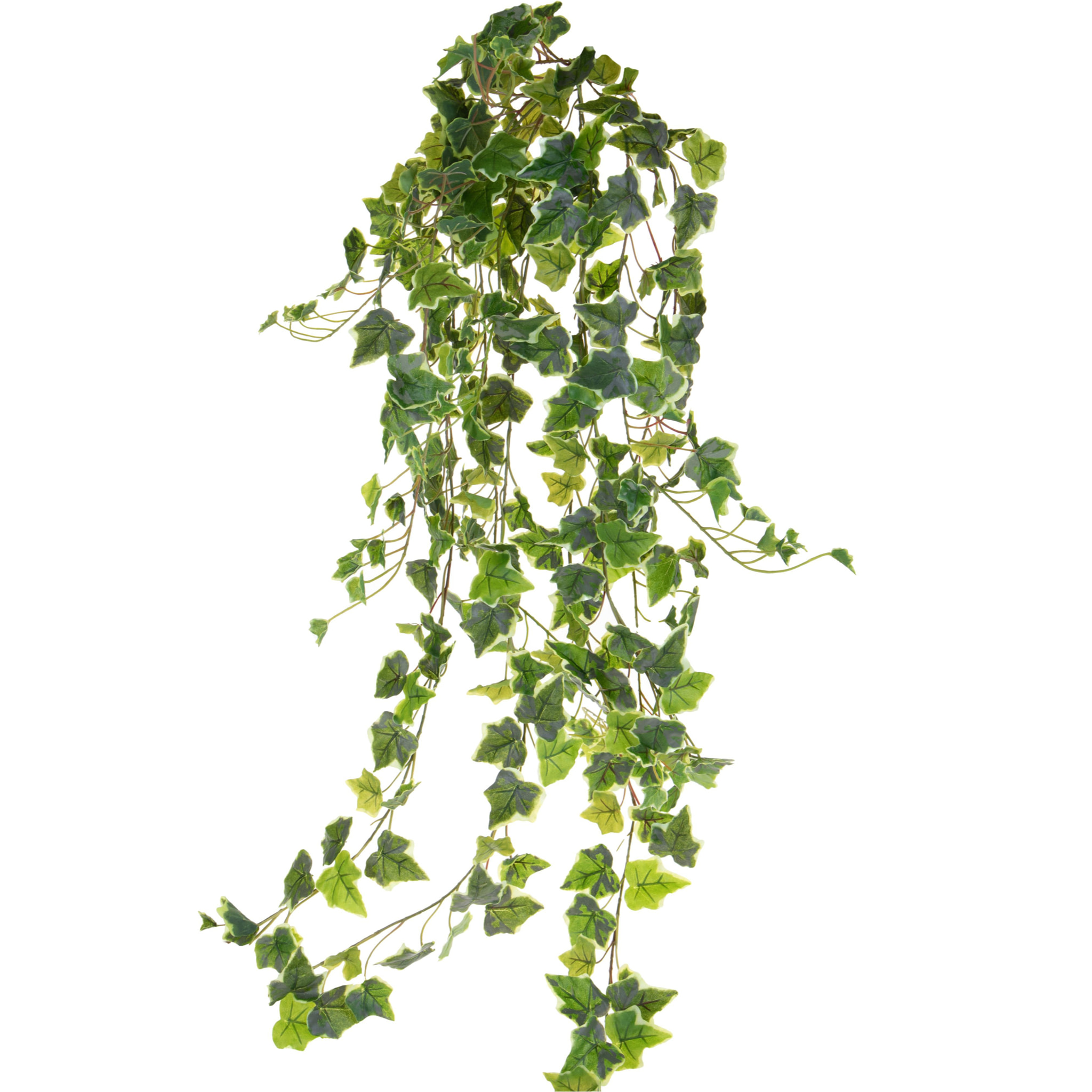 Edera Rampicante Real Touch 175 Cm - Pezzi 1 - 40X175X40cm - Colore: Verde - Bianchi Dino - Piante Artificiali