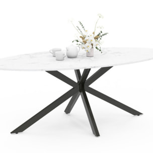 Table repas ovale pieds spider