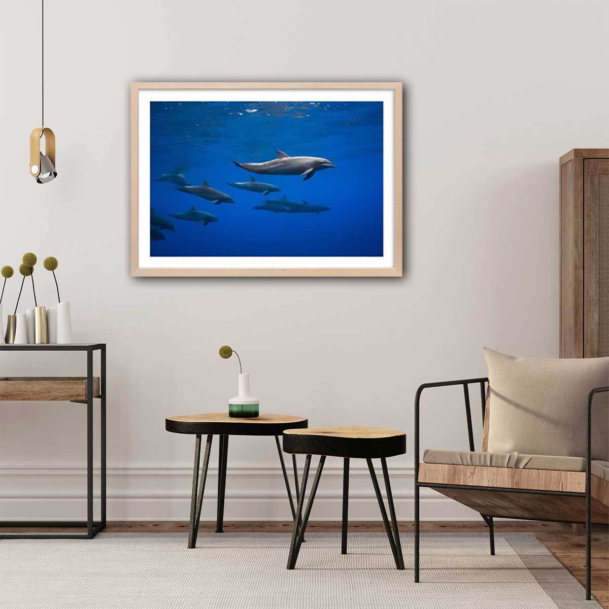 Affiche fond marin Dauphins course en famille Affiche seule